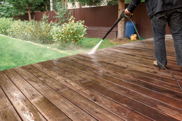 Best Rust Removal  in Sneads, FL